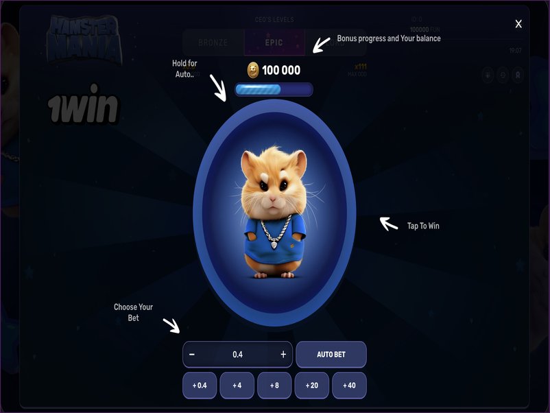 Bonus terms at Hamster Mania